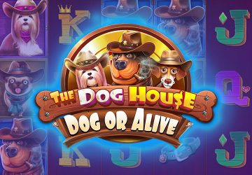 NetEnt - игровой автомат онлайн от Various с RTP 97.78%